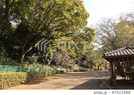 紅葉の多摩川台公園 97022886