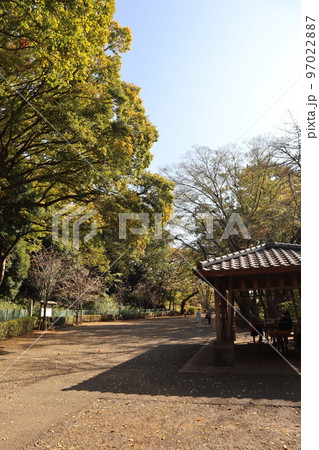 紅葉の多摩川台公園 97022887
