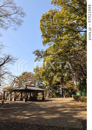 紅葉の多摩川台公園 97022888