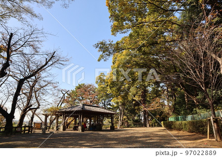 紅葉の多摩川台公園 97022889