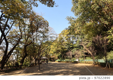 紅葉の多摩川台公園 97022890