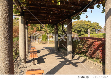 紅葉の多摩川台公園 97022902