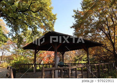 紅葉の多摩川台公園 紅葉の多摩川台公園 97022911