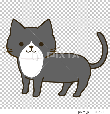 立つシンプルなハチワレ黒猫 97023050