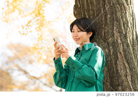 木に寄りかかってスマホを操作する女性 97023256