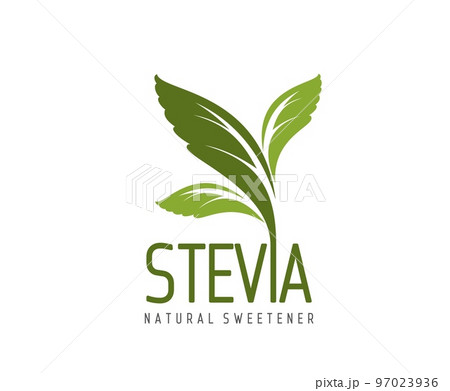 Stevia leaves icon, natural sweetener, organic sugar substitute and bio food product vector label. Sweet stevia plant branch with green leaves isolated symbol of herbal extract and food supplement Stevia leaves icon, natural sweetener, organic sugar substitute and bio food product vector label. Sweet stevia plant branch with green leaves isolated symbol of herbal extract and food supplement 97023936