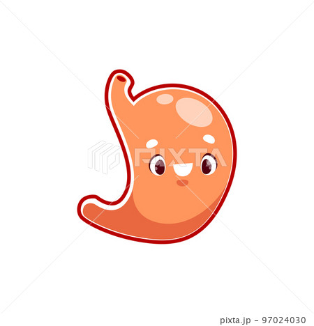 Cartoon stomach human body organ character. Vector digestive system personage with kawaii smiling face. Anatomy, medicine for kids, health care Cartoon stomach human body organ character. Vector digestive system personage with kawaii smiling face. Anatomy, medicine for kids, health care 97024030