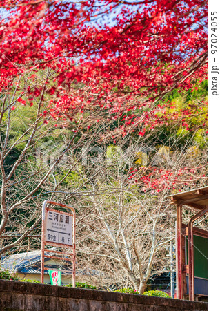 秋の名鉄三河線旧三河広瀬駅〈愛知県豊田市〉 秋の名鉄三河線旧三河広瀬駅〈愛知県豊田市〉 97024055