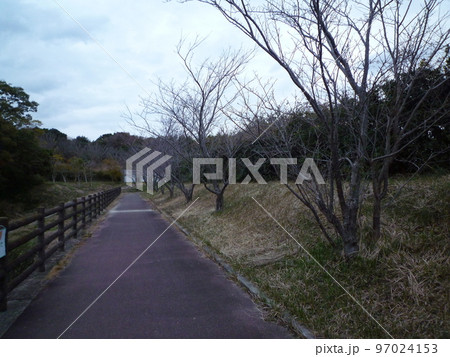 常滑市　真冬の小脇公園 97024153