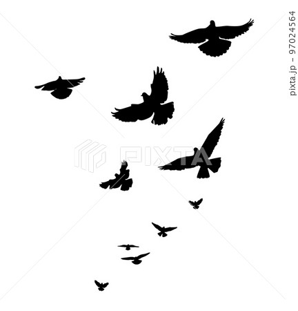 A flock of flying birds. Free birds. Vector illustration 97024564