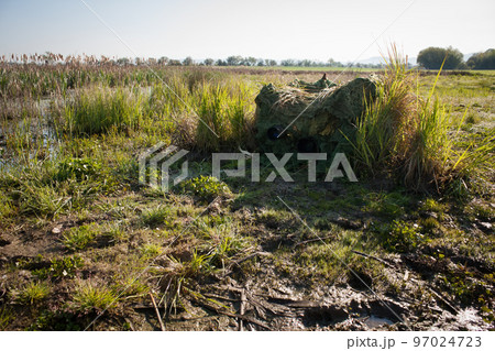 Wildlife photographer hiding in a hide from camouflage netting in summer nature. Wildlife photographer hiding in a hide from camouflage netting in summer nature. 97024723