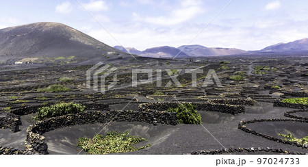 The Wine Valley of La Geria - Lanzarote, Spain The Wine Valley of La Geria - Lanzarote, Spain 97024733