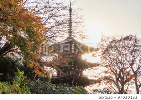 紅葉真っ盛りの岡寺三重塔ともみじ手水 97030133