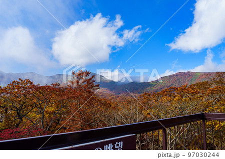 那須ゴンドラ　ゴヨウツツジ展望台からの紅葉風景 97030244