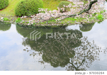 公園の桜祭り「佐賀県」 97030264