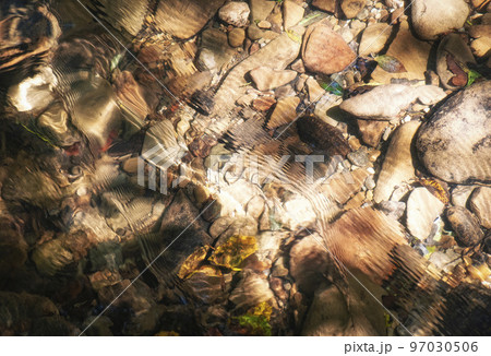 detail of autumn river with fallen leaves 97030506