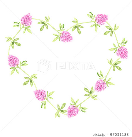 A wreath in the shape of a heart of blooming clover. St.Patrick 's Day. Watercolor illustration. Isolated on a white background. For design goods for a garden, stickers, organic products, stickers 97031188