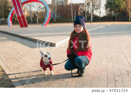 Happy child girl with dog in autumn or winter time. Portrait kid with pet Jack Russell Terrier outdoors - pet owner concept 97031724