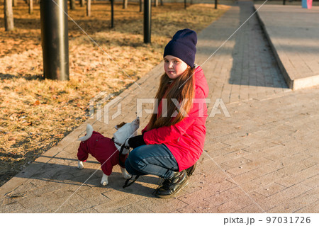 Happy child girl with dog in autumn or winter time. Portrait kid with pet Jack Russell Terrier outdoors - pet owner concept 97031726