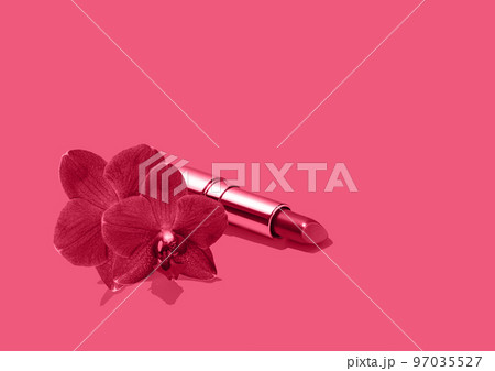 Decorative cosmetics composition of lipstick decorated with orchid flowers. Natural cosmetics concept. Mockup for your design. Copy space. Toned image in trendy magenta color of year 2023. 97035527
