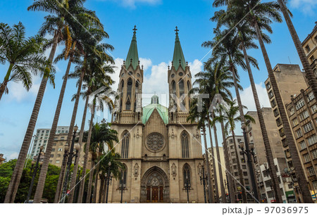 Sao Paulo Cathedral with palms and surrounding buildings, Sao Paulo, Brazil 97036975