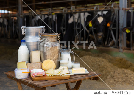Dairy products on table standing in outdoor cowshed Dairy products on table standing in outdoor cowshed 97041259