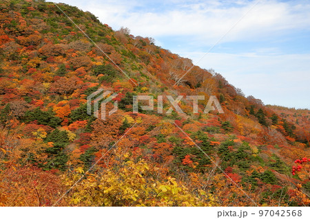 福島県二本松市　安達太良山登山道ジープ道からの紅葉の景色 97042568