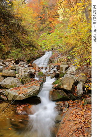 福島県二本松市　安達太良山登山道塩沢コース　湯川渓谷の紅葉と湯川の流れ 97042994