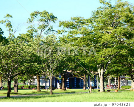 総合運動公園 総合運動公園 97043322