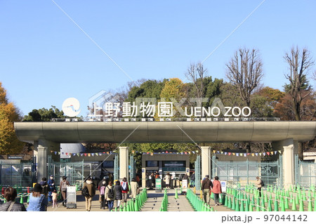 上野動物園 97044142