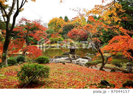 旧古河庭園の日本庭園の紅葉の秋風景 旧古河庭園の日本庭園の紅葉の秋風景 97044157