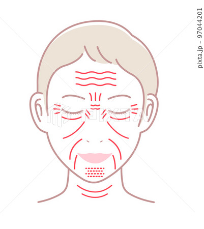 女性の顔のしわ ( 発生場所と名称 ) ベクターイラスト / 文字なし 97044201