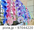 カラフルな胡蝶蘭 97044220