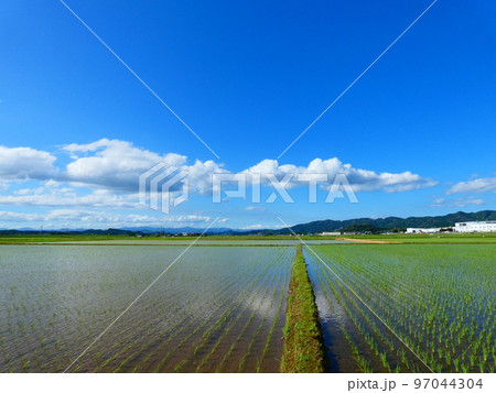 水田 97044304