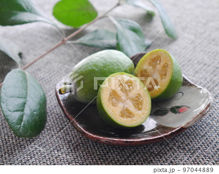 フレッシュ　フェイジョア 97044889