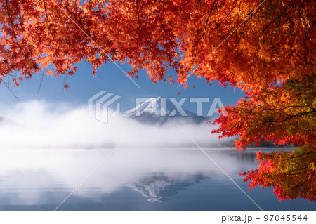 《山梨県》秋の富士山・紅葉のアーチ 97045544