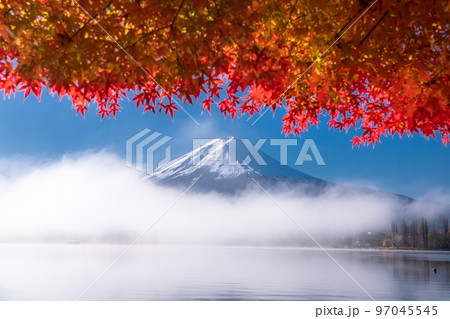 《山梨県》秋の富士山・紅葉のアーチ 97045545
