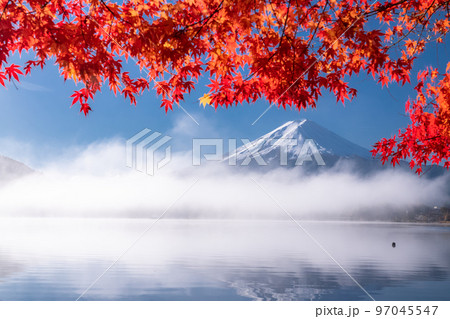 《山梨県》秋の富士山・紅葉のアーチ 97045547