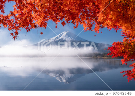 《山梨県》秋の富士山・紅葉のアーチ 97045549