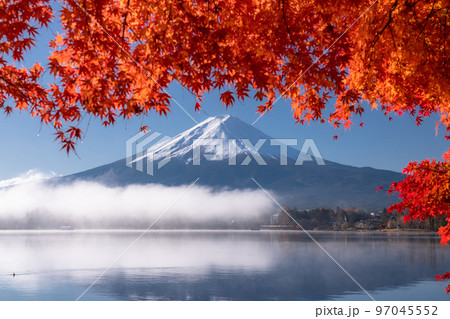 《山梨県》秋の富士山・紅葉のアーチ 97045552