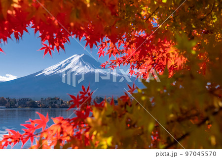 《山梨県》秋の富士山・紅葉のアーチ 97045570