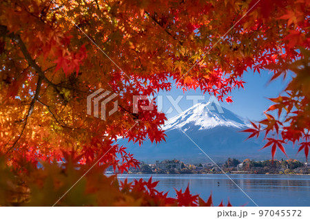 《山梨県》秋の富士山・紅葉のアーチ 97045572