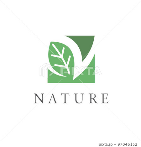 n letter leaf for nature icon vector illustration concept design 97046152