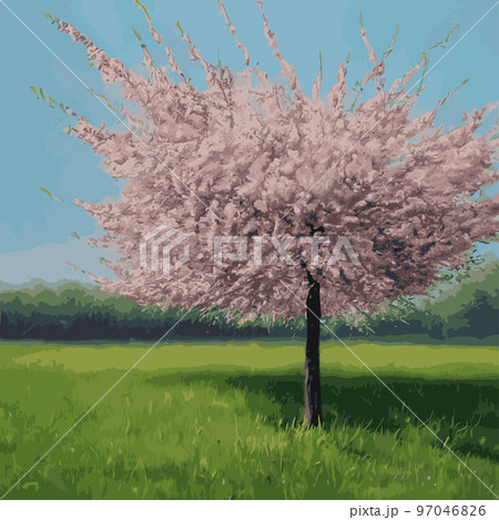 Realistic sakura tree. Elegant Japanese character. Flowering plant with pink flower petals on a green meadow. Asian cultural symbol. Floral spring decoration design. Vector illustration. Realistic sakura tree. Elegant Japanese character. Flowering plant with pink flower petals on a green meadow. Asian cultural symbol. Floral spring decoration design. Vector illustration. 97046826
