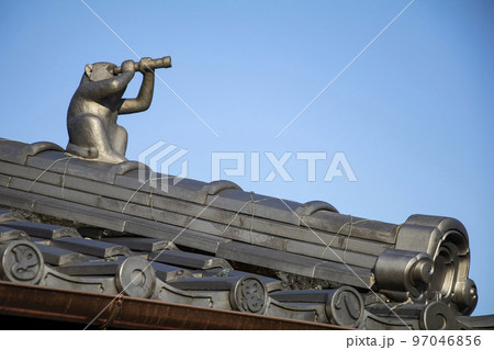 高みの見物 97046856