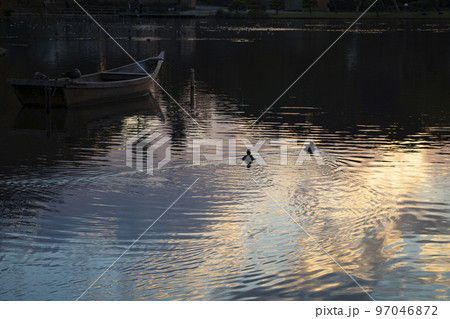 水面 水面 97046872