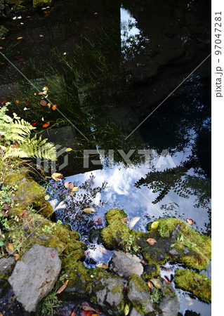 忍野八海, おしのはっかい, 山梨県, 忍野村, 湧泉群, 富士山, 伏流水, 杓子山, 石割山, 忍野八海, おしのはっかい, 山梨県, 忍野村, 湧泉群, 富士山, 伏流水, 杓子山, 石割山, 97047281