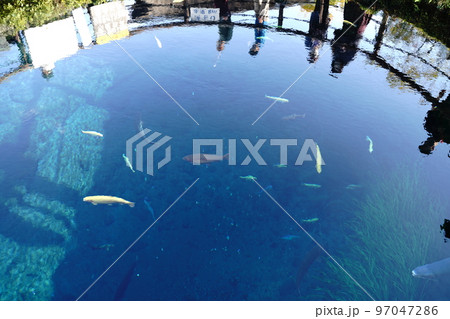 忍野八海, おしのはっかい, 山梨県, 忍野村, 湧泉群, 富士山, 伏流水, 杓子山, 石割山, 忍野八海, おしのはっかい, 山梨県, 忍野村, 湧泉群, 富士山, 伏流水, 杓子山, 石割山, 97047286