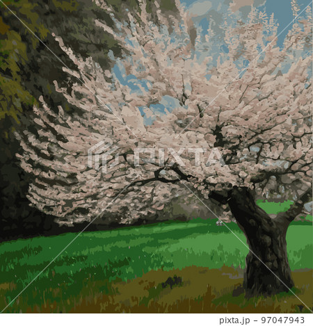 Realistic sakura tree. Elegant Japanese character. Flowering plant with pink flower petals on a green meadow. Asian cultural symbol. Floral spring decoration design. Vector illustration. 97047943