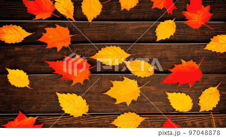 Autumn template, Oak, maple, wild ash leaves vector, fall foliage on background. Red gold yellow rowan and oak autumn leaves. Falling tree foliage cool october background graphic. Autumn template, Oak, maple, wild ash leaves vector, fall foliage on background. Red gold yellow rowan and oak autumn leaves. Falling tree foliage cool october background graphic. 97048878